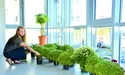 Університетське містечко майбутнього