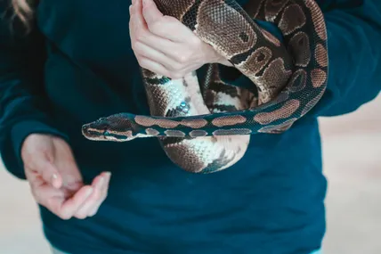 Фото ілюстративне із сайту Pexels