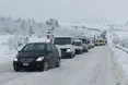 Через негоду в Україні вирвані дерева та 220 населених пунктів без світла