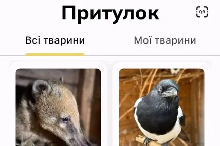 Фото: Домівка врятованих тварин
