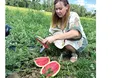 Висадила на Прикарпатті 10 сортів кавунів
