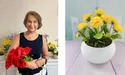«Моя творчість почалася з кульбабки»