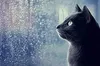 Прогноз погоди на 30 грудня