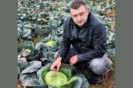 Крістіан Барта задоволений урожаєм качанистої. Фото з архіву Мукачівської міської ради