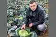 Капуста не підвела початківців