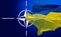 НАТО надало Україні новий статус країни-аспіранта