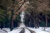 Прогноз погоди 26 грудня