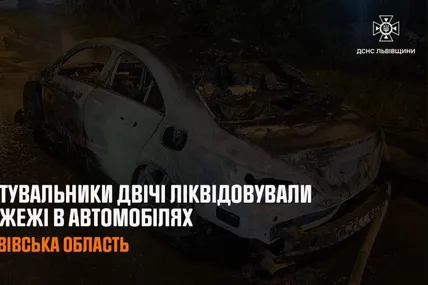 Фото: ДСНС Львівщини
