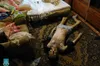 У Львові судитимуть 66-річну жінку за вбивство власного сина