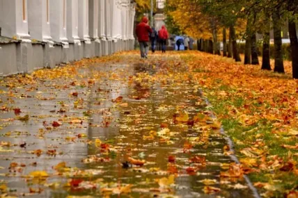 Фото з мережі