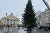 Перед Оперним театром у Львові встановили головну ялинку