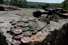 В Ужгородському замку відновили мініскульптуру монет, пошкоджену туристами