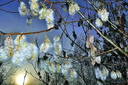 Фото - flickr.com