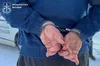 Трагедія на Рівненщині: у притулку для переселенців вбито п’ятьох людей