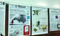 Жодна газета у Франції на себе не заробляє