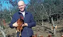 Екологічна птахоферма ветерана