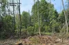 На Львівщині викрили масштабну незаконну вирубку лісу: збитки перевищили 112 млн грн
