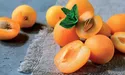 Абрикоси покращують настрій