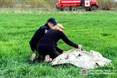 Трагедія на Рівненщині: після десяти днів пошуків знайдено тіло 4-річного хлопчика