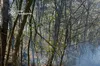 На Львівщині надзвичайники ліквідували 14 пожеж сухої трави
