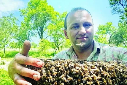 Василь Сидорович знімає бджолині рої так само легко, як збирає вишні-черешні... Фото з альбому Василя Сидоровича