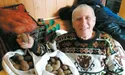 «Перед садінням картоплю зігріваю хатнім теплом...»