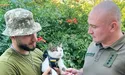 Після собаки Патрона медаль отримав фронтовий кіт Шайба