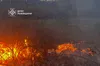 На Львівщині вогонь за добу знищив понад 4 800 квадратних метрів землі