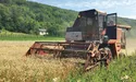 Вирощений хліб зібрати — не поле перейти…
