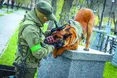Покинули вороги, а підібрали друзі
