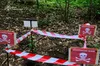 На Яворівщині грибники знайшли мінометну міну часів Другої світової війни
