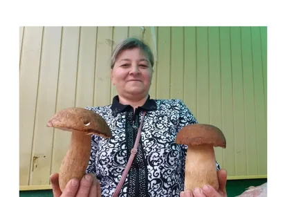 Кілограм таких красенів пані Оля продає за 150 гривень. Фото автора.