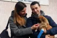 Собачка потрапила під колеса. А потім — у добрі руки…