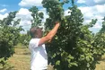 Вкладає у фундук час та душу