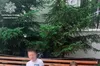 Троє дітей на Львівщині пішли у магазин і не повернулися: їх розшукали