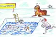 24 листопада у світі відзначають Міжнародний день моржа