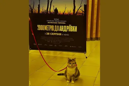 Кішка Андріївка відвідала спецпоказ фільму "2000 метрів до Андріївки" у Львові. Фото: Arthouse Traffic