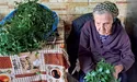 У 93 роки баба Юля сплела барвінковий вінець — на весілля внучці Юлі