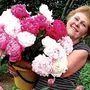Пані Півонія вирощує квіти, що перемагають війну