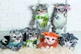 На наплічниках – мордочки дворових котів