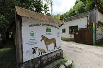 Фото: ЛМР