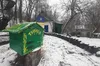 Бабак Тимко IV навіщував прихід весни через шість тижнів