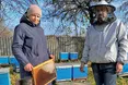 Священник доглядає пасіку і виготовляє вулики