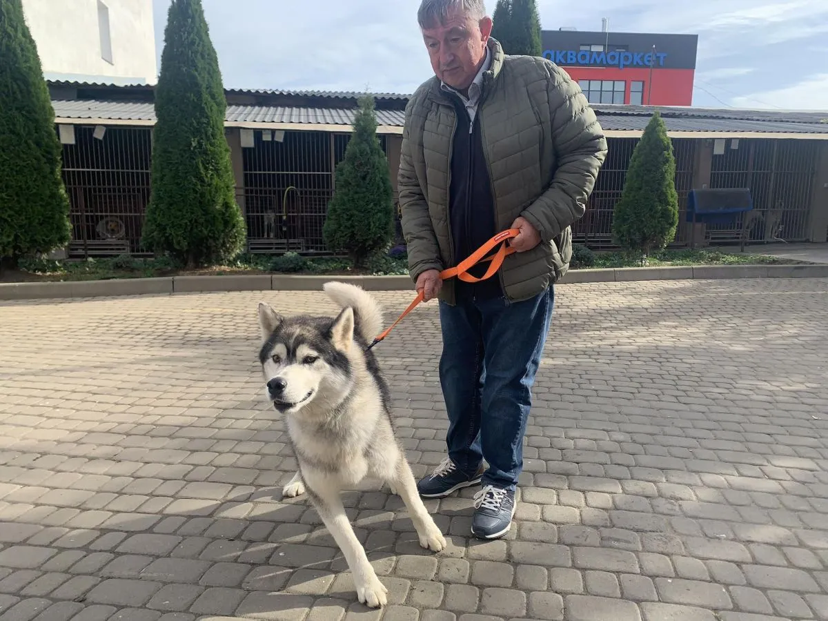 Новий керівник ЛКП "Лев" Роман Добуш вигулює хаскі.