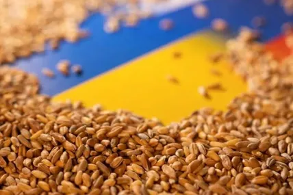 Відомо, коли із портів вирушать перші кораблі із українським зерном