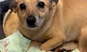 Жужа спить на грошах. І нікому не дасть їх відібрати