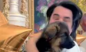 У Павла Зіброва є тепер вівчарка Джессі