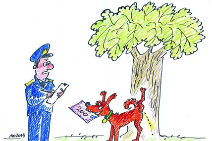 Штрафи за сміття