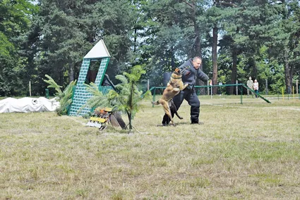 Показові виступи кінологів, як завжди, захопливі...