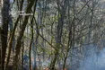 На Львівщині надзвичайники ліквідували 14 пожеж сухої трави